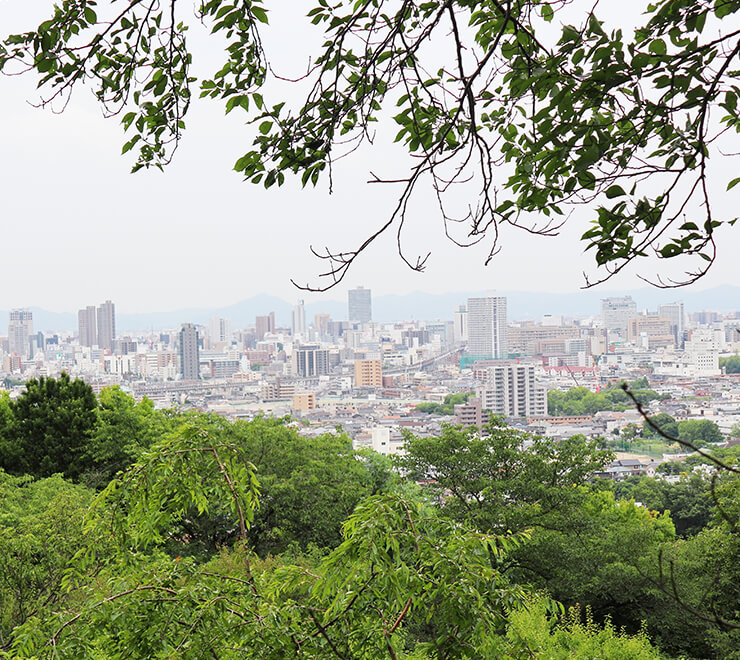今後の岡山市の不動産市場動向